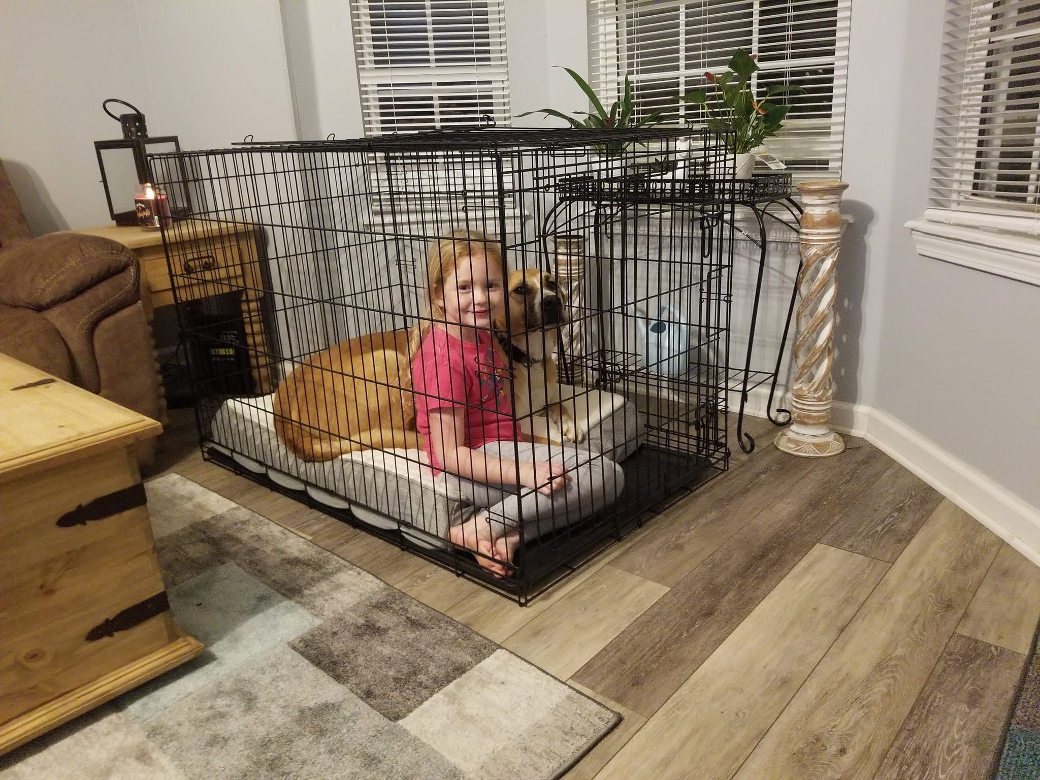 Tala, an Animal Ally