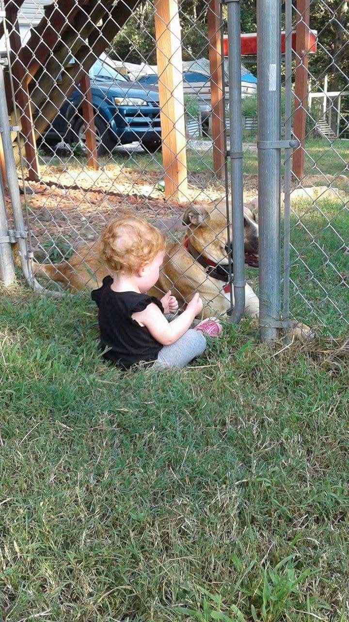 Tala, an Animal Ally